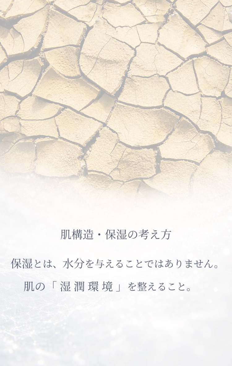 肌構造・保湿の考え方